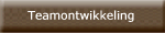 Teamontwikkeling